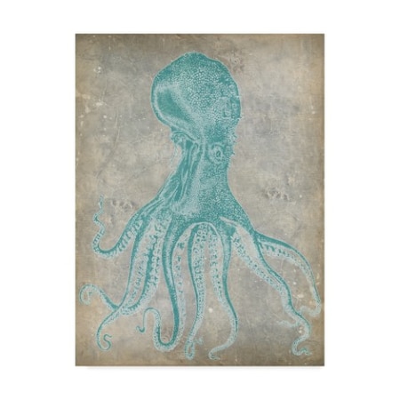 Jennifer Goldberger 'Spa Octopus Ii' Canvas Art,18x24